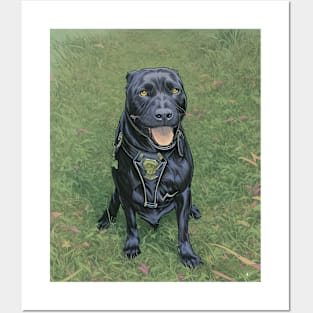 The Staffordshire Bull Terrier Posters and Art